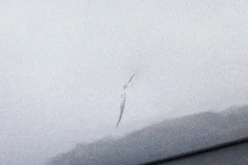 Vehicle image 39